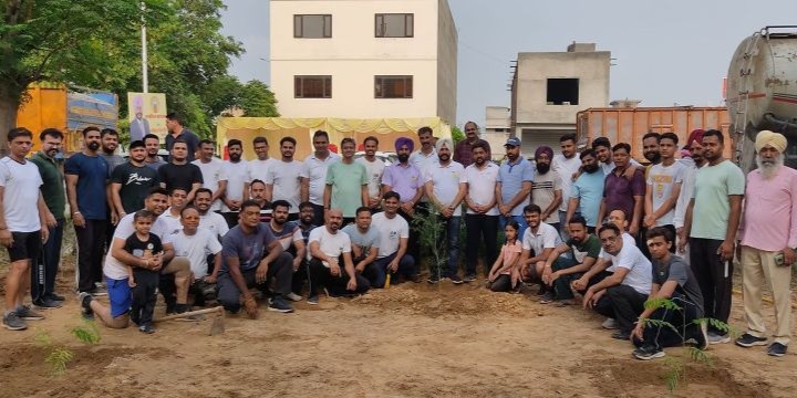 Native Trees Plantation